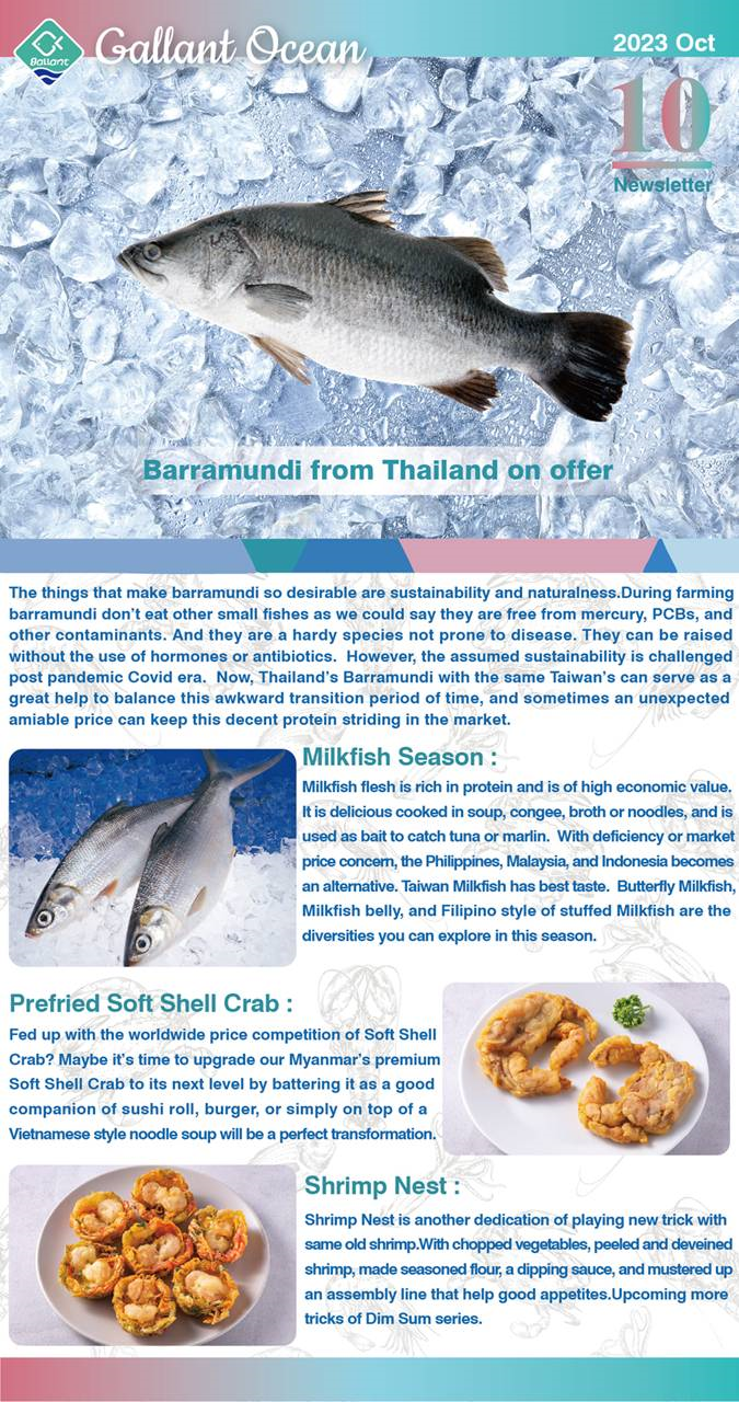 Gallant Ocean Newsletter Oct 2023